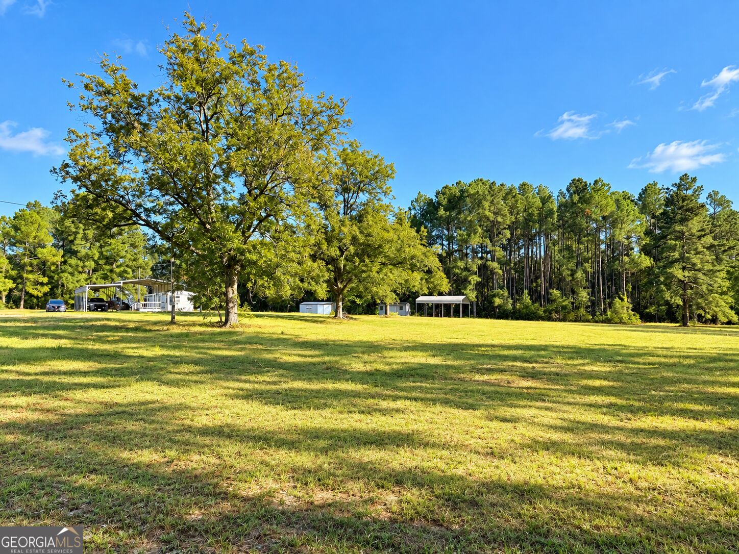 0 Martin Road Kite, GA 31049 - Photo 3 of 25 Gallery Image 3