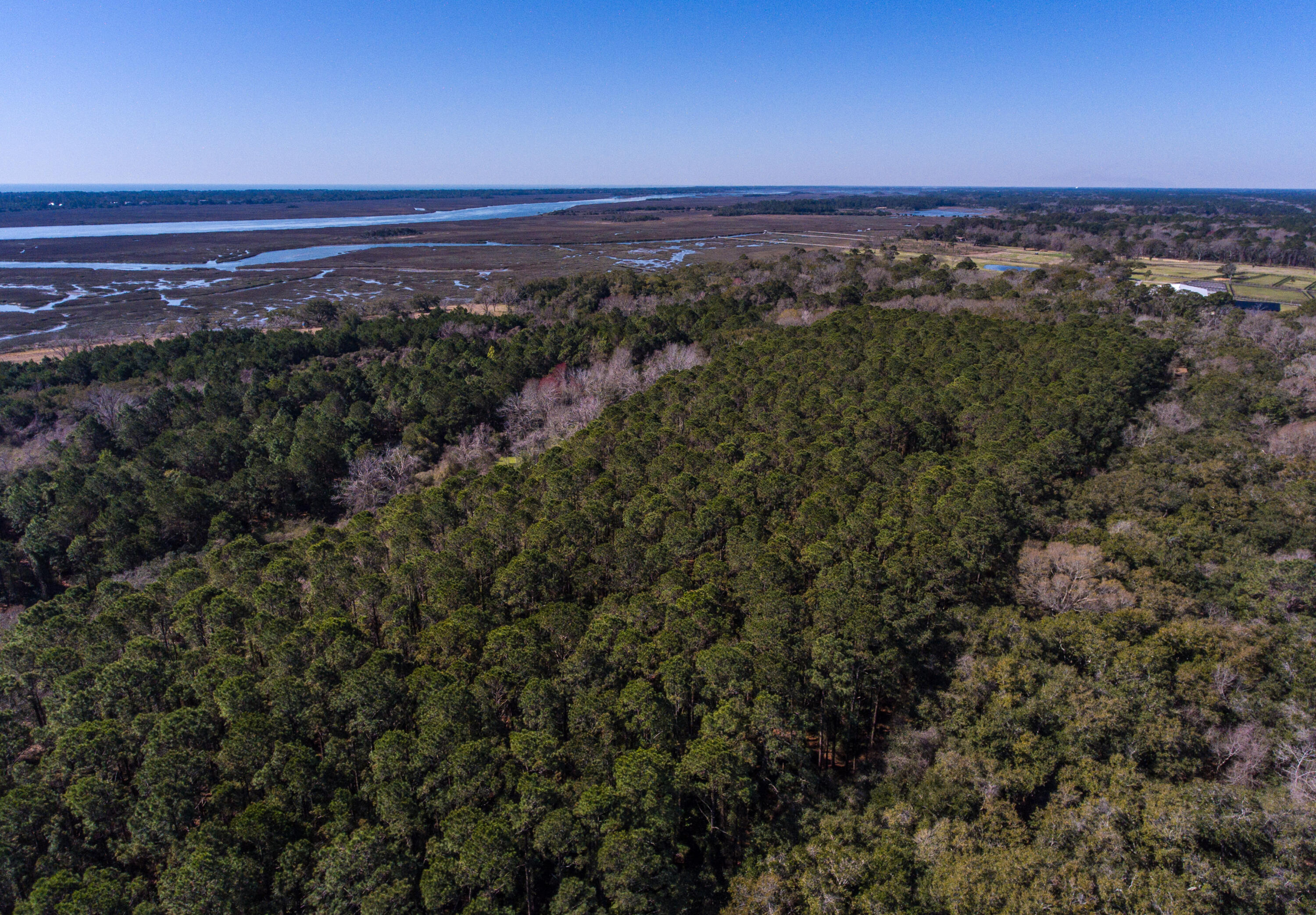 3495 Legareville Road Johns Island, SC 29455 - Photo 11 of 31 3495 Legareville Rd_Brett Martin Photogr