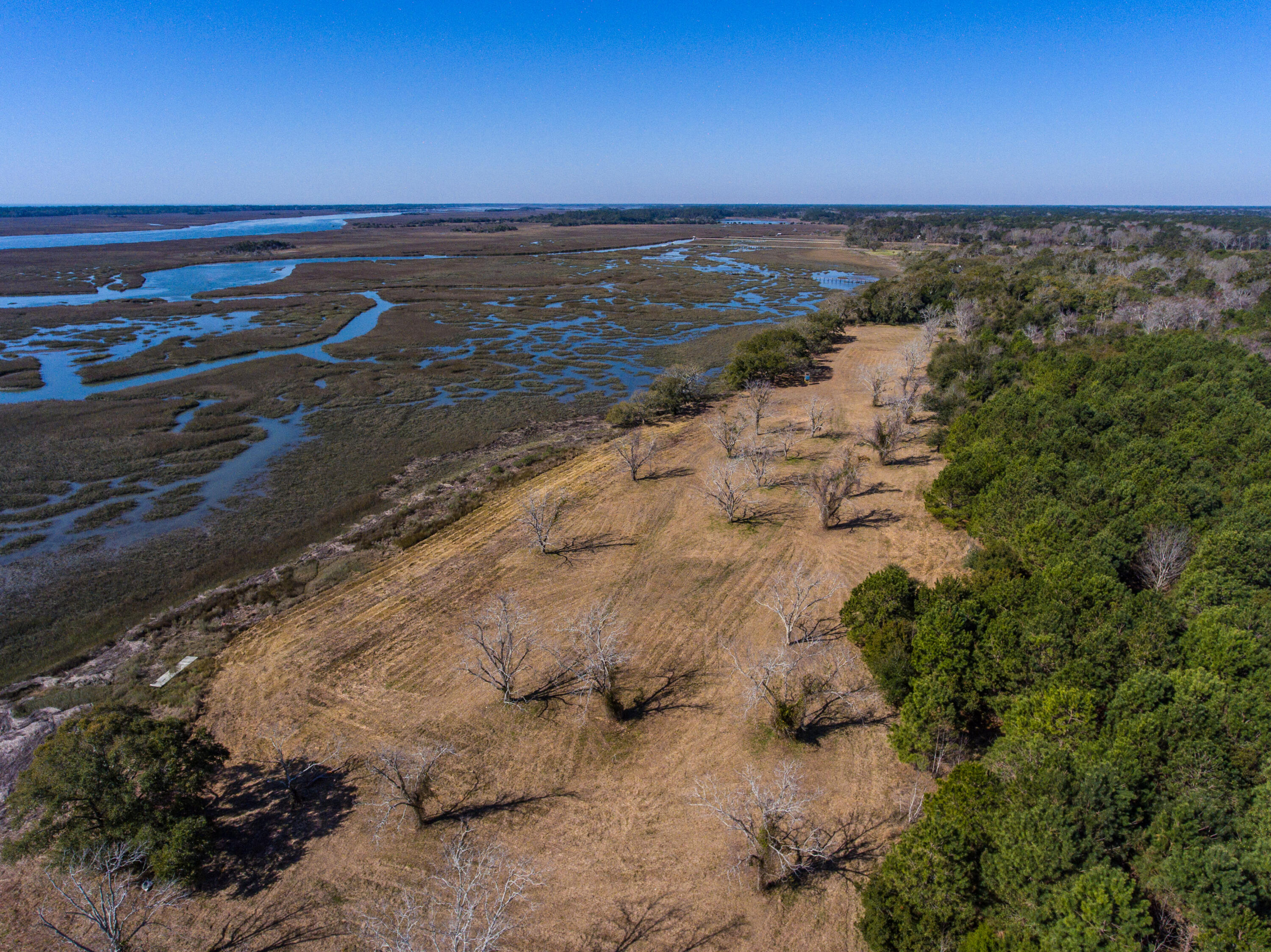 3495 Legareville Road Johns Island, SC 29455 - Photo 15 of 31 3495 Legareville Rd_Brett Martin Photogr