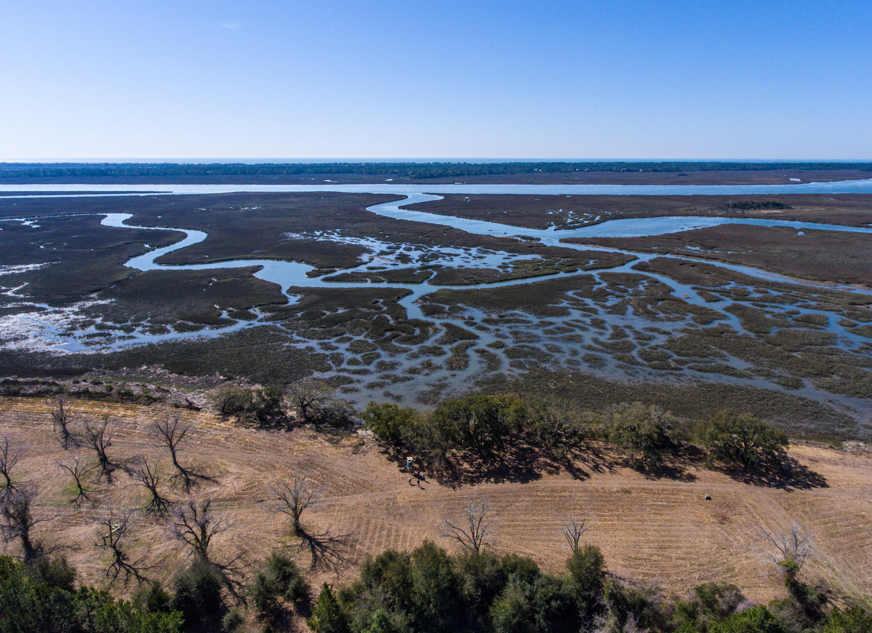 3495 Legareville Road Johns Island, SC 29455 - Photo 16 of 31 3495 Legareville Rd_Brett Martin Photogr