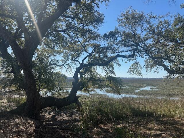 3495 Legareville Road Johns Island, SC 29455 - Photo 18 of 31 IMG_4186