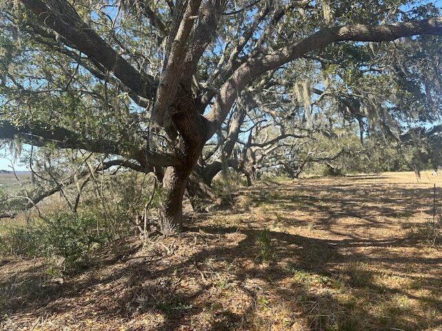3495 Legareville Road Johns Island, SC 29455 - Photo 19 of 31 IMG_4188