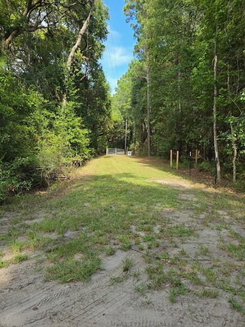 3495 Legareville Road Johns Island, SC 29455 - Photo 20 of 31 20250730_165142_resized_1