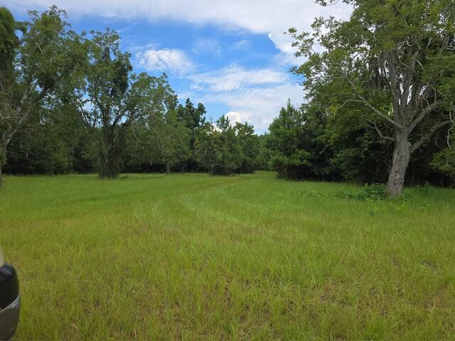 3495 Legareville Road Johns Island, SC 29455 - Photo 21 of 31 20250730_120257_resized_2
