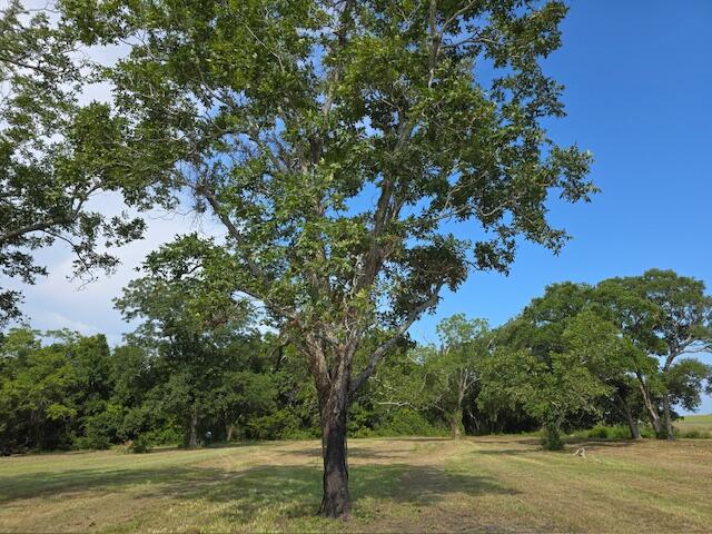 3495 Legareville Road Johns Island, SC 29455 - Photo 23 of 31 20250730_162720_resized