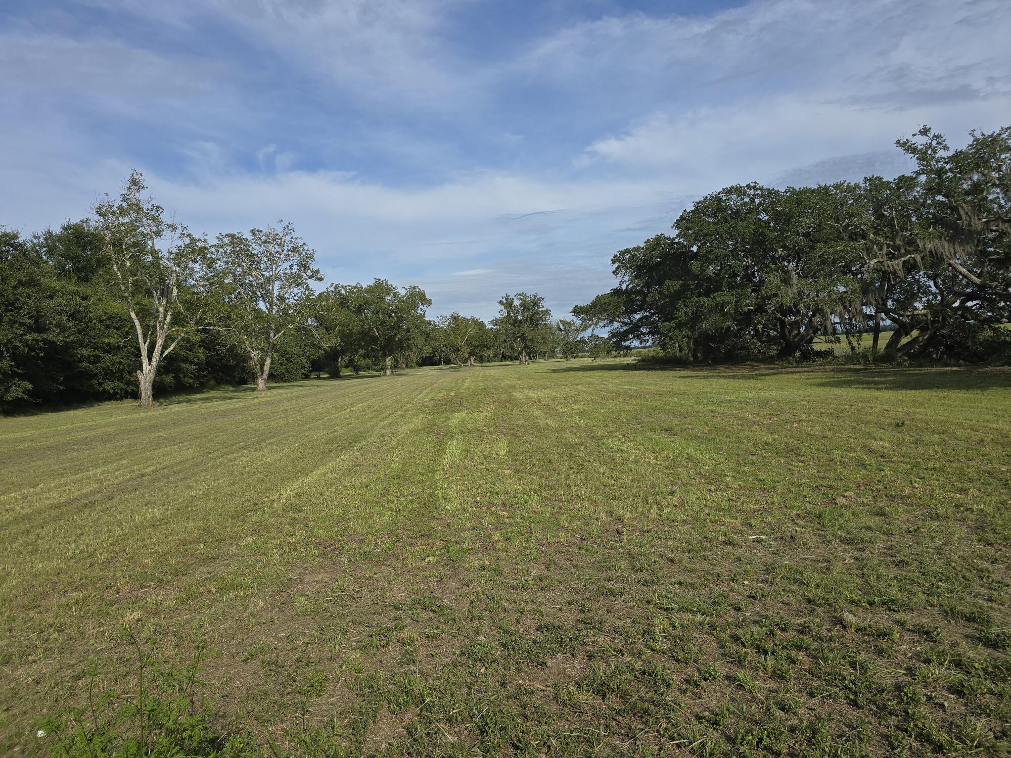 3495 Legareville Road Johns Island, SC 29455 - Photo 26 of 31 20250912_165949_resized