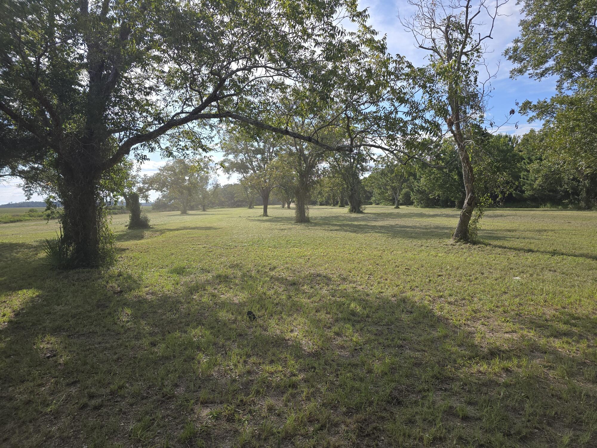 3495 Legareville Road Johns Island, SC 29455 - Photo 28 of 31 20250912_165127_resized
