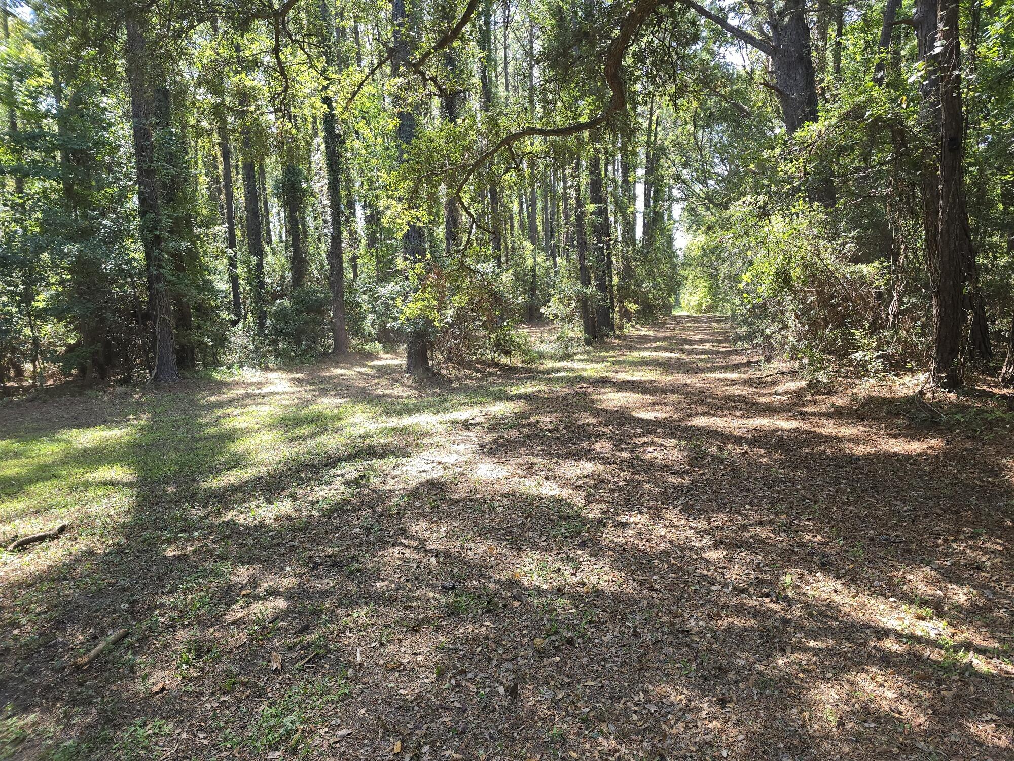 3495 Legareville Road Johns Island, SC 29455 - Photo 29 of 31 20250912_113753_resized