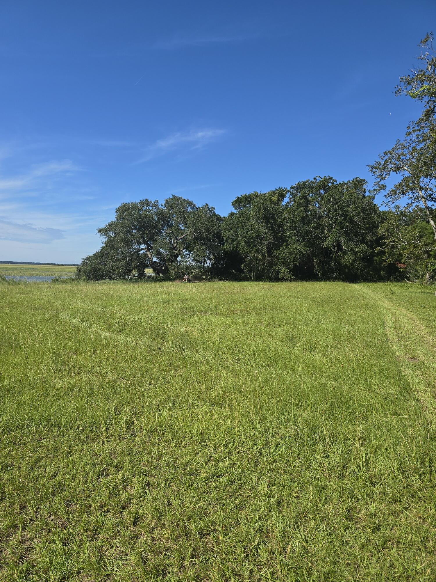 3495 Legareville Road Johns Island, SC 29455 - Photo 30 of 31 20250912_105419_resized
