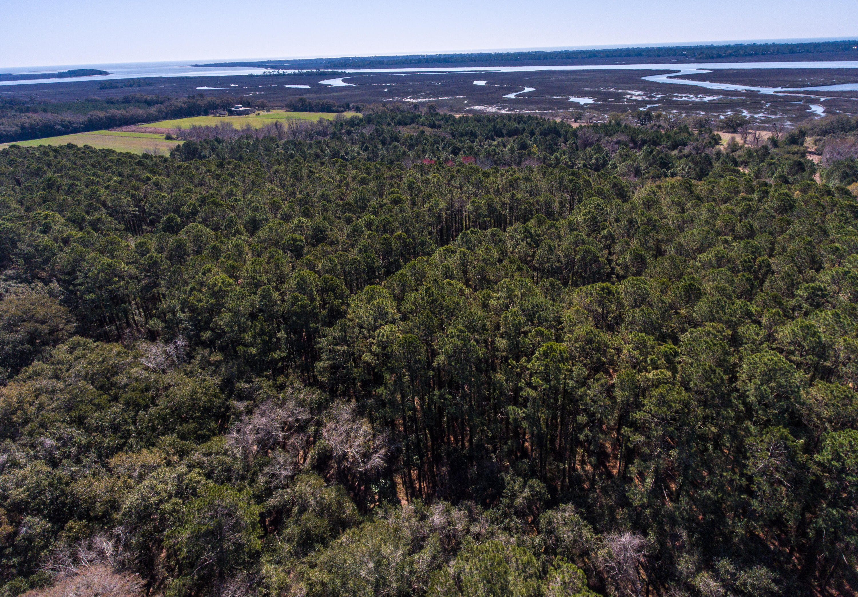 3495 Legareville Road Johns Island, SC 29455 - Photo 4 of 31 3495 Legareville Rd_Brett Martin Photogr