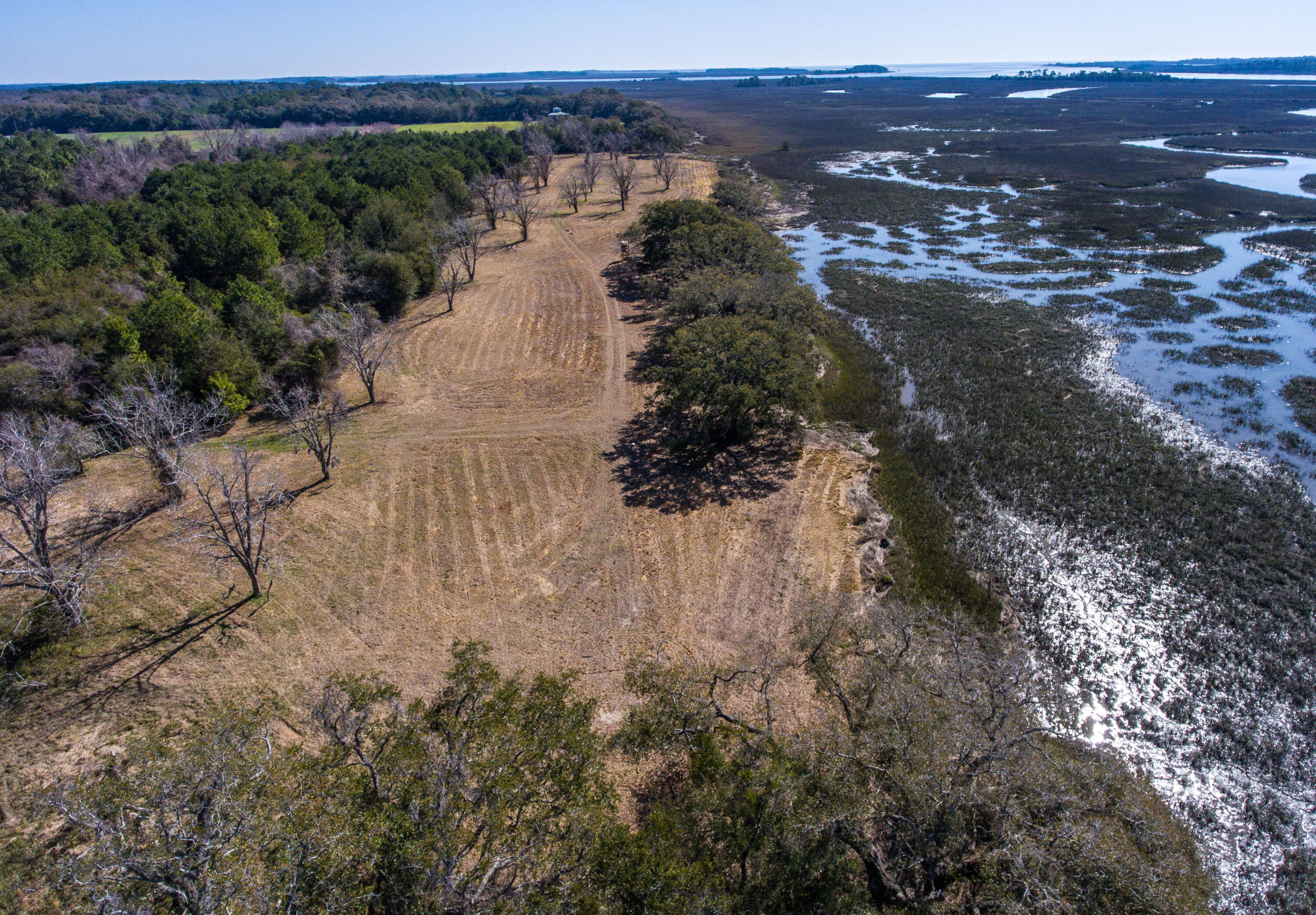 3495 Legareville Road Johns Island, SC 29455 - Photo 5 of 31 3495 Legareville Rd_Brett Martin Photogr