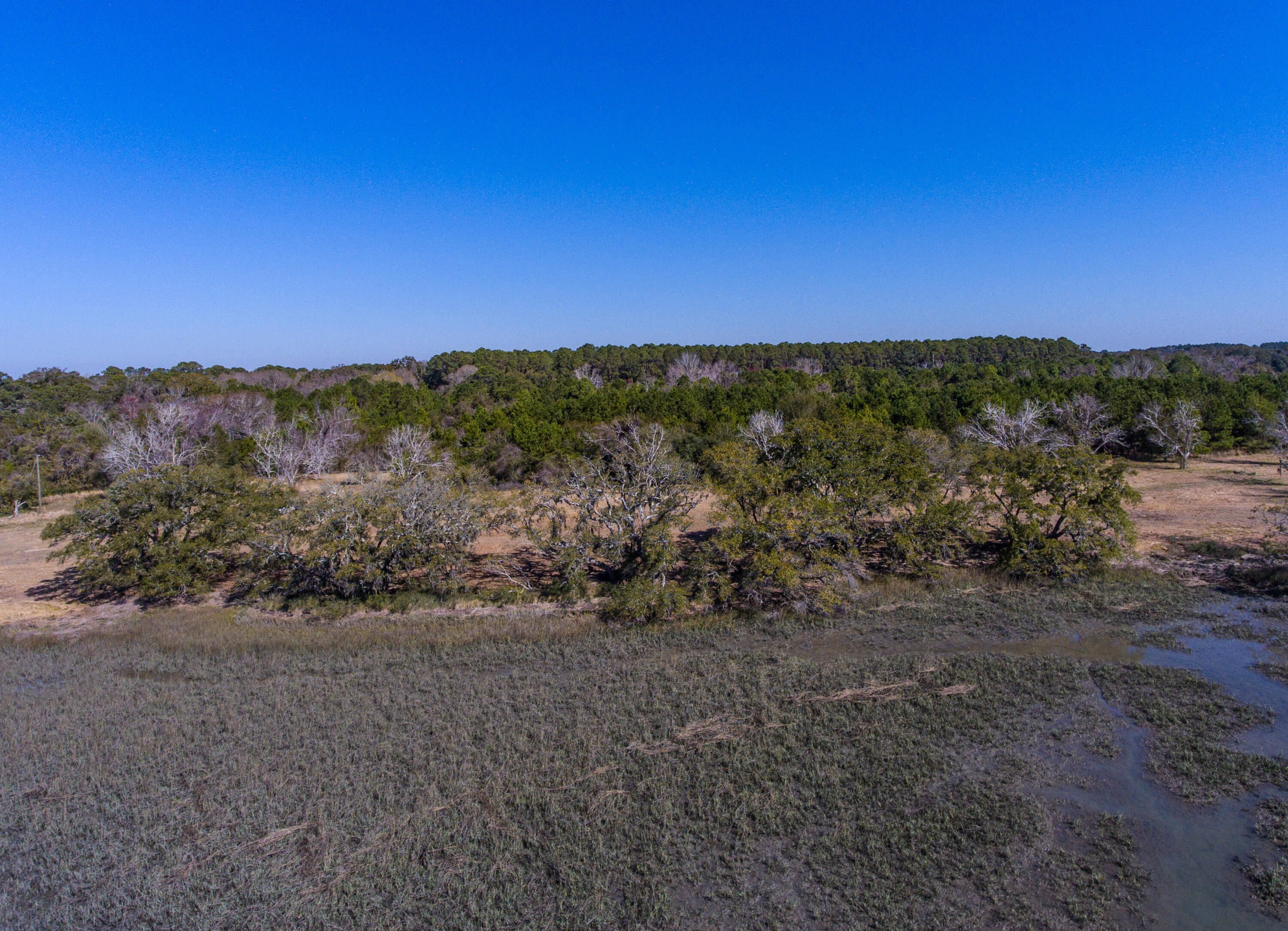 3495 Legareville Road Johns Island, SC 29455 - Photo 6 of 31 3495 Legareville Rd_Brett Martin Photogr