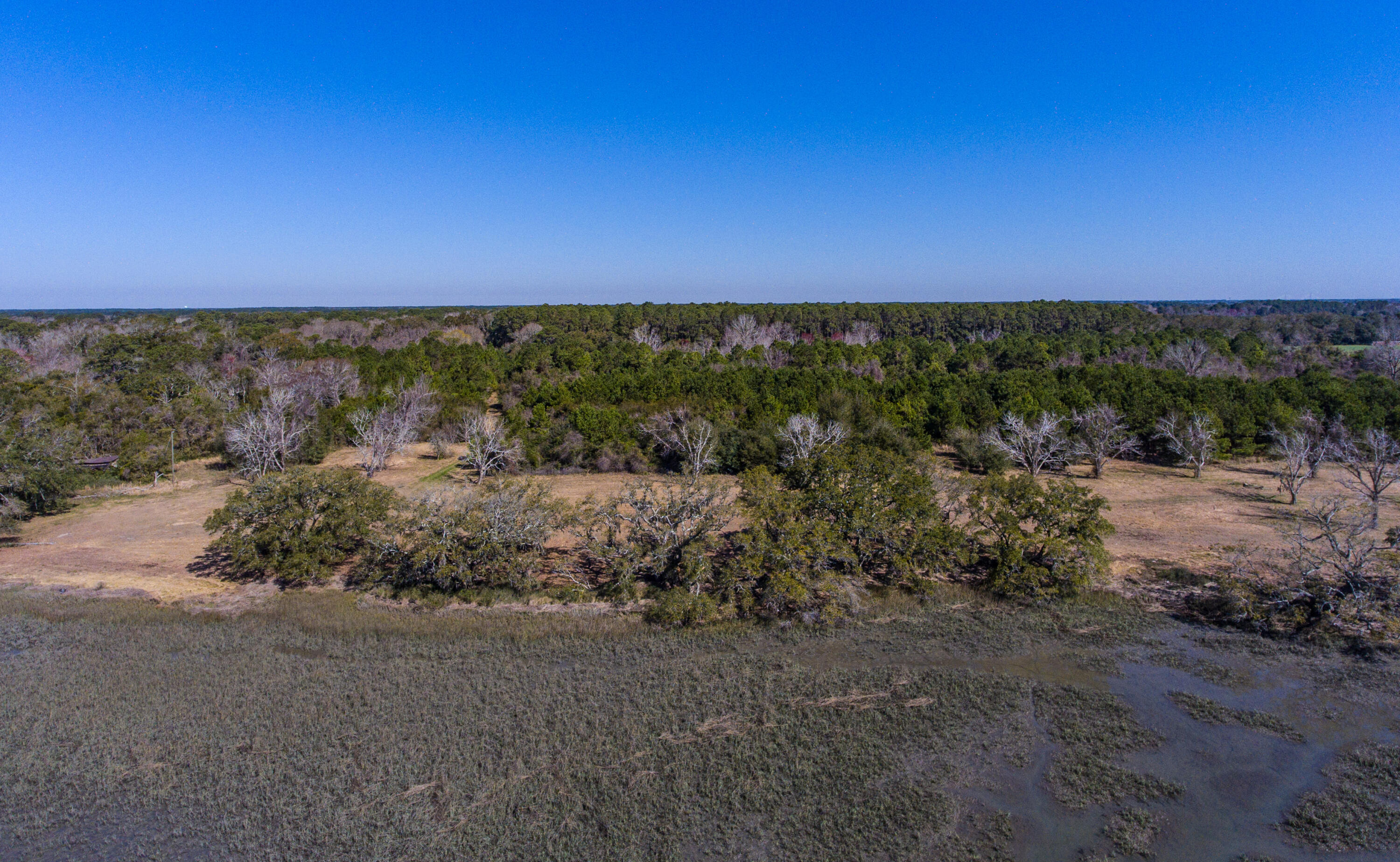 3495 Legareville Road Johns Island, SC 29455 - Photo 7 of 31 3495 Legareville Rd_Brett Martin Photogr