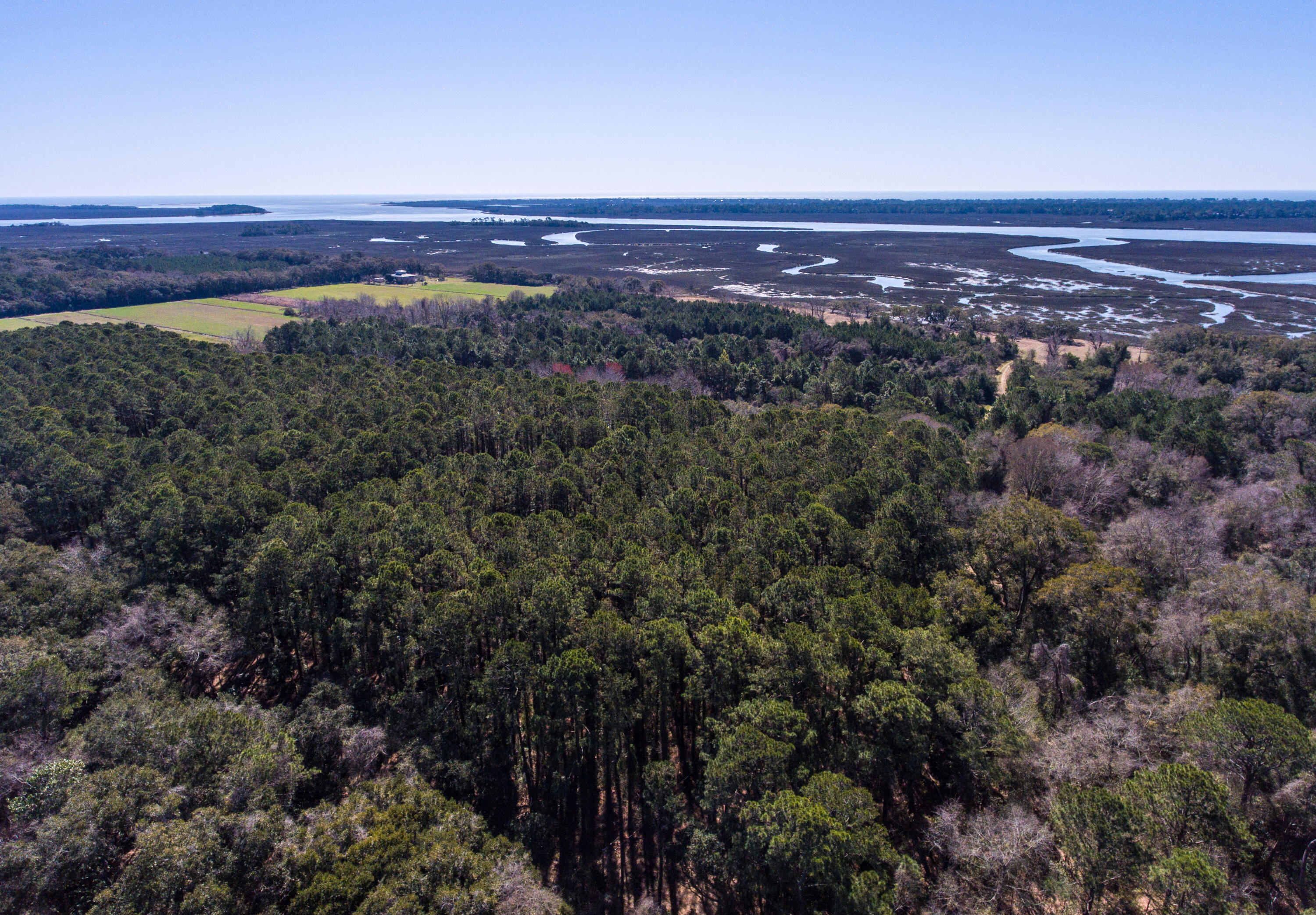 3495 Legareville Road Johns Island, SC 29455 - Photo 9 of 31 3495 Legareville Rd_Brett Martin Photogr