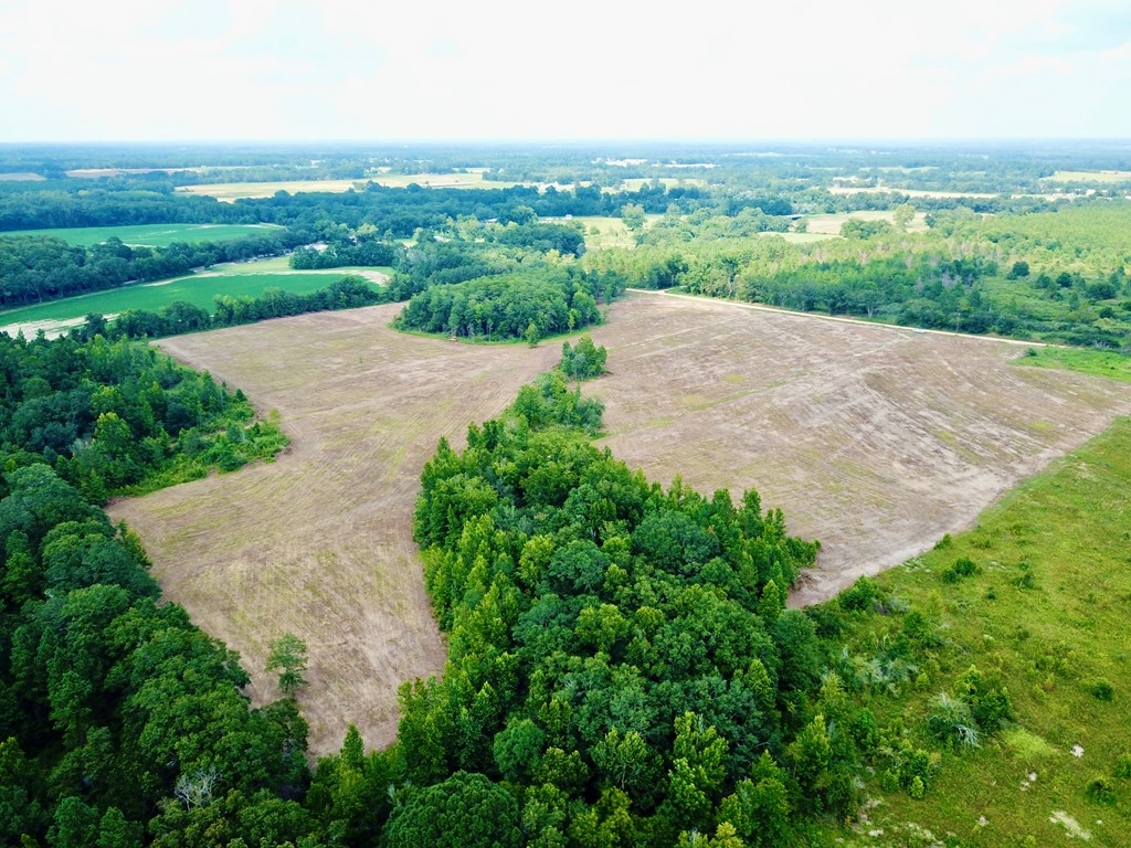 L5 New Hinson Road Slocomb, AL 36375 - Photo 6 of 23