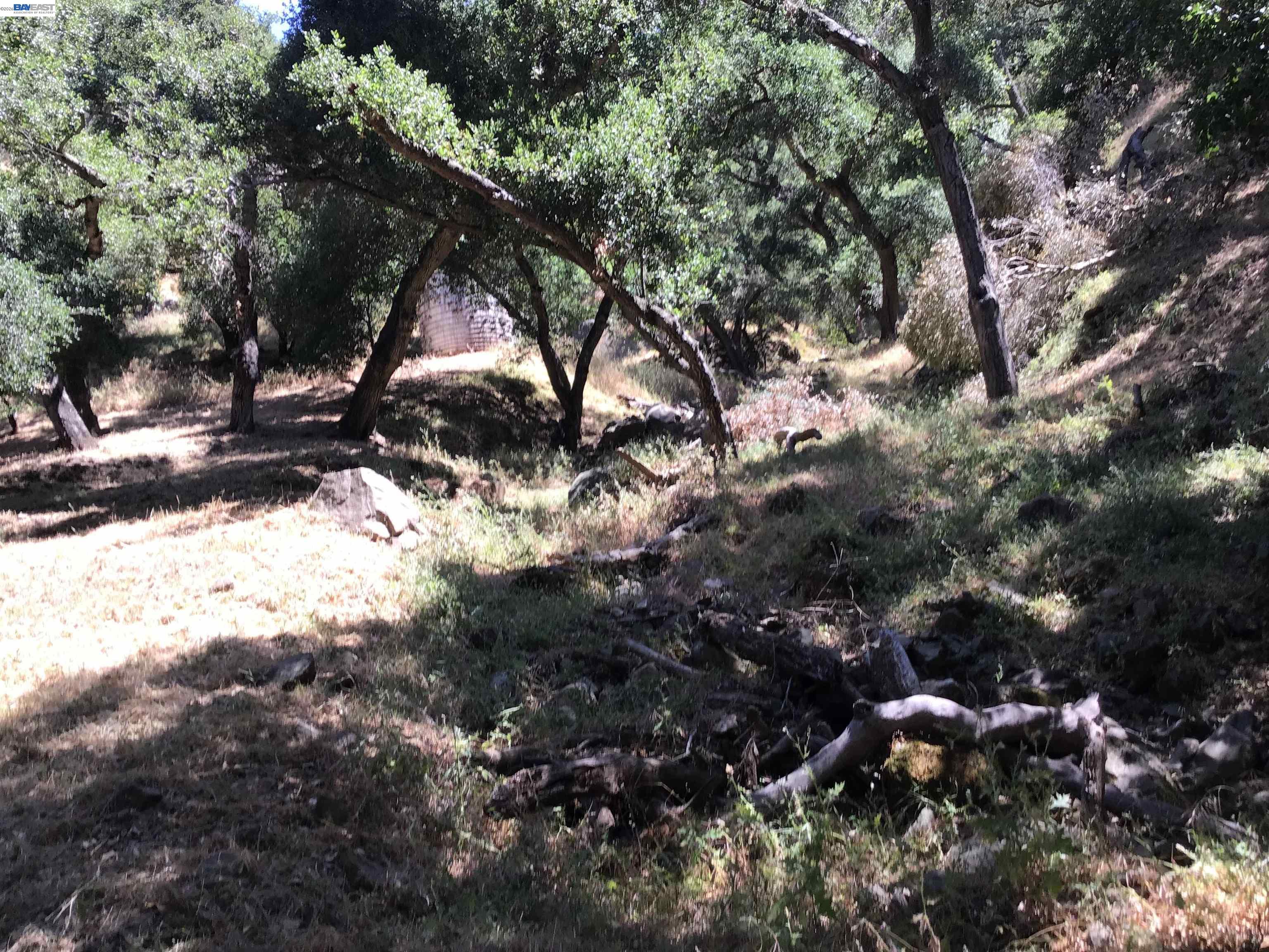 1929 Kilkare Road Sunol, CA 94586 - Photo 20 of 35
