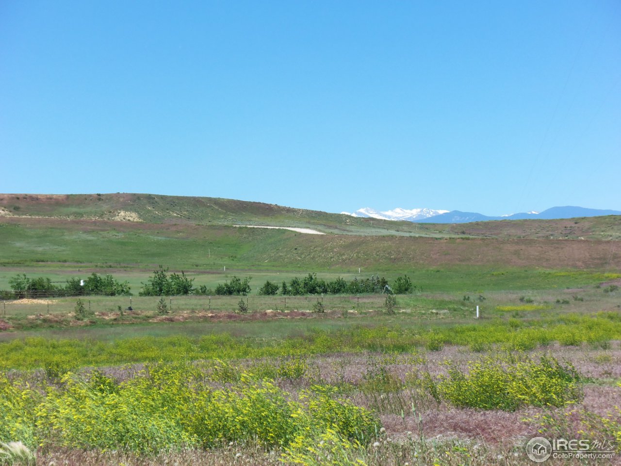 Merlin Lane Windsor, CO 80550 - Photo 4 of 5