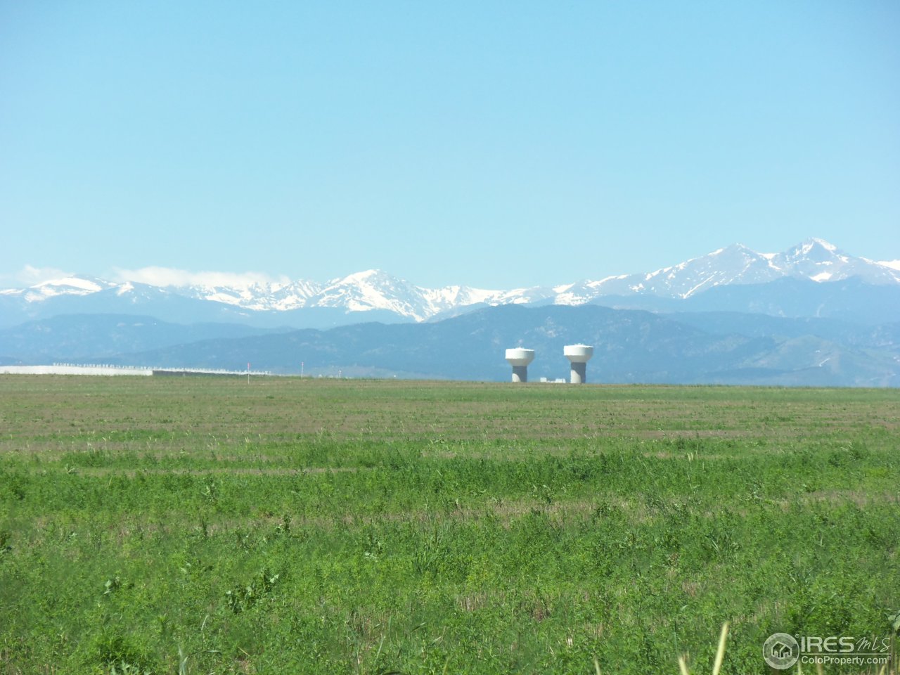 Merlin Lane Windsor, CO 80550 - Photo 5 of 5