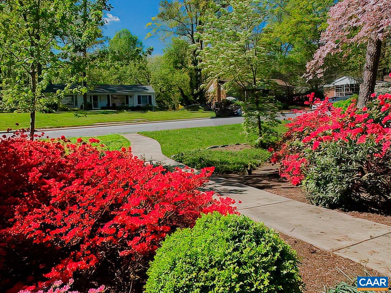 1606 Dublin Road Charlottesville, VA 22903 - Photo 30 of 34 a view of a yard with plants and large trees