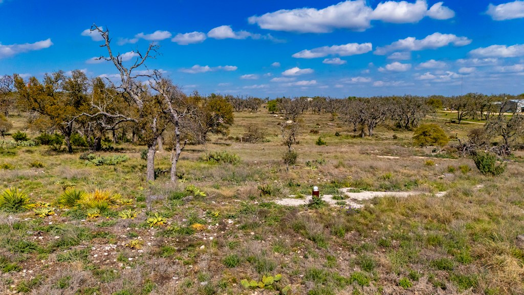 444 Mosel Road Harper, TX 78631 - Photo 17 of 18