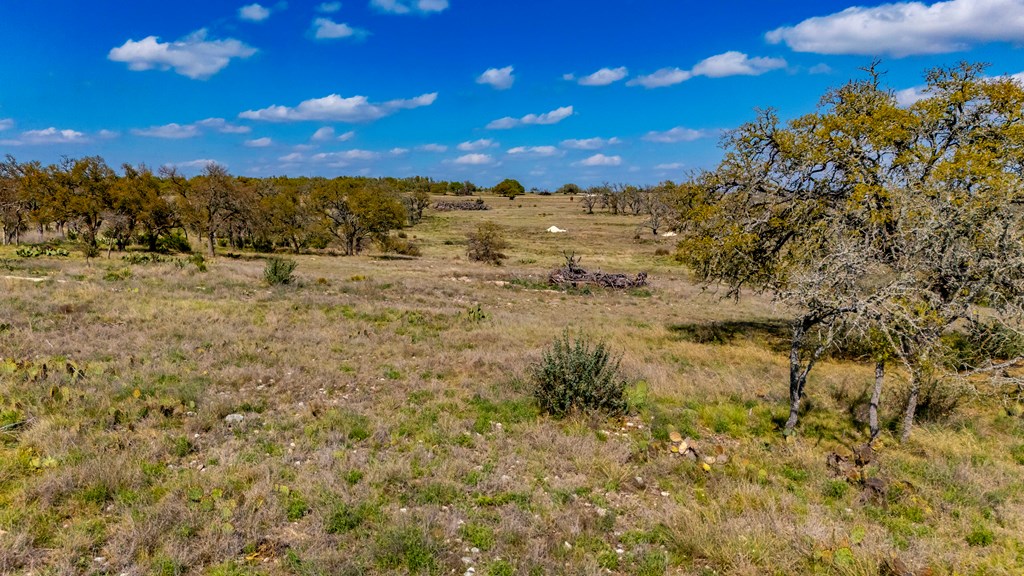 444 Mosel Road Harper, TX 78631 - Photo 18 of 18