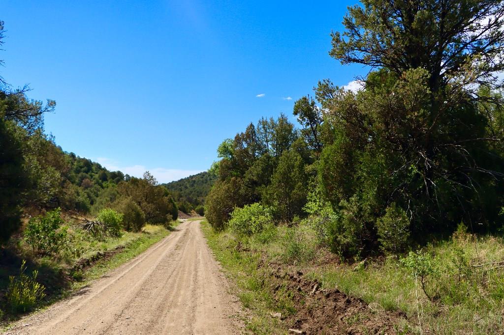 0 Picketwire Road Trinidad, CO 81082 - Photo 2 of 5