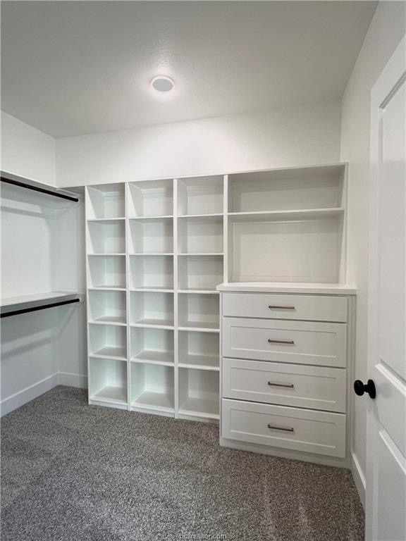 3005 Alpha Court Bryan, TX 77808 - Photo 27 of 37 Spacious closet with dark colored carpet