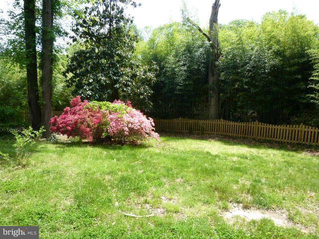 8116 Karl Road Alexandria, VA 22308 - Photo 14 of 16 Exterior (Rear)