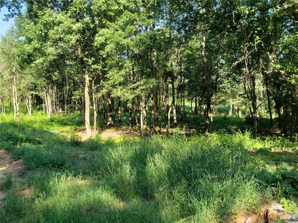 2480 Judge Brown Road Valley, AL 36854 - Photo 4 of 6 Gallery Image 4