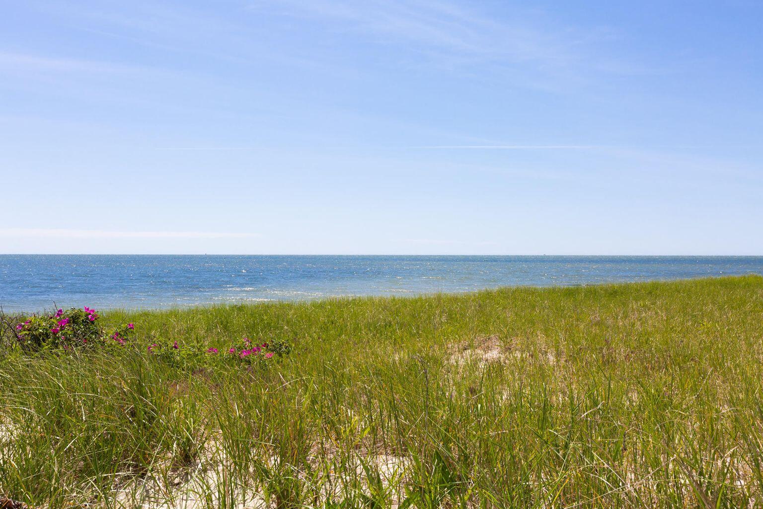 6 Cedar Street Cotuit, MA 02635 - Photo 45 of 58 Cotuit Beach with sea-grass