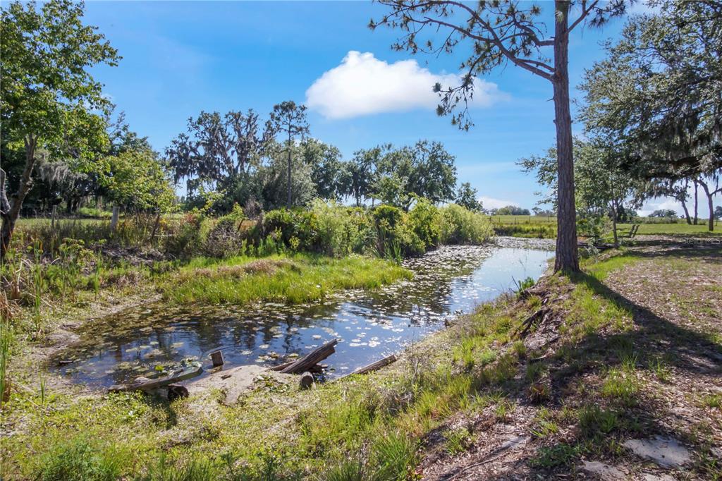 1850 South Lake Reedy Boulevard Frostproof, FL 33843 - Photo 40 of 48
