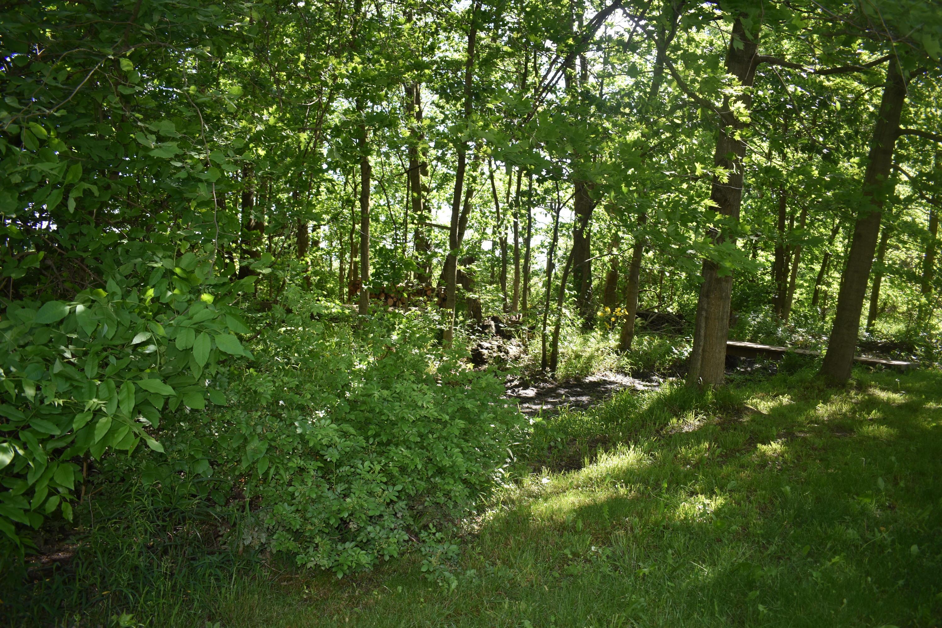 3139 Berringer Road Waldo, OH 43356 - Photo 8 of 43 Gallery Image 8