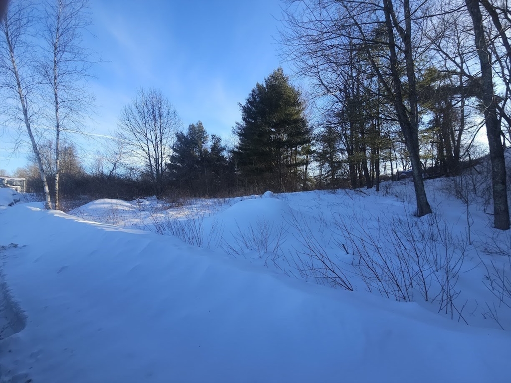 0 Station Road Barre, MA 01005 - Photo 2 of 3 a view of yard with tree in the background