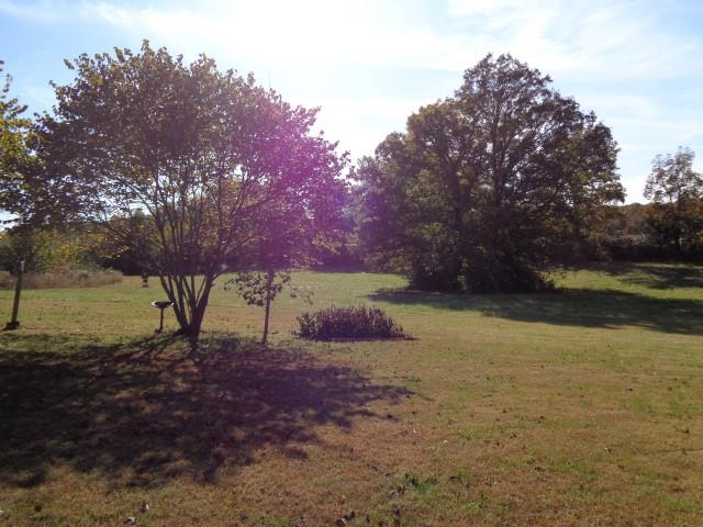 2069 Fall River Road Leoma, TN 38468 - Photo 24 of 26 a view of a yard with a tree
