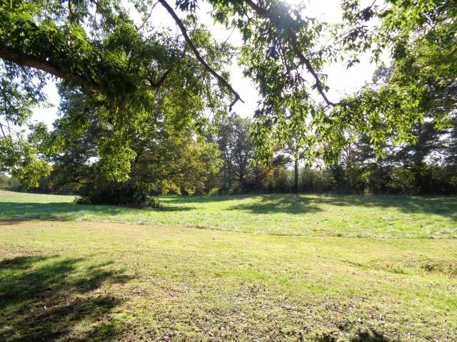 2069 Fall River Road Leoma, TN 38468 - Photo 25 of 26 a view of a yard with a trees