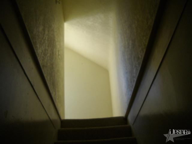 16825 Zubrick Road Roanoke, IN 46783 - Photo 17 of 20 Gallery Image 17