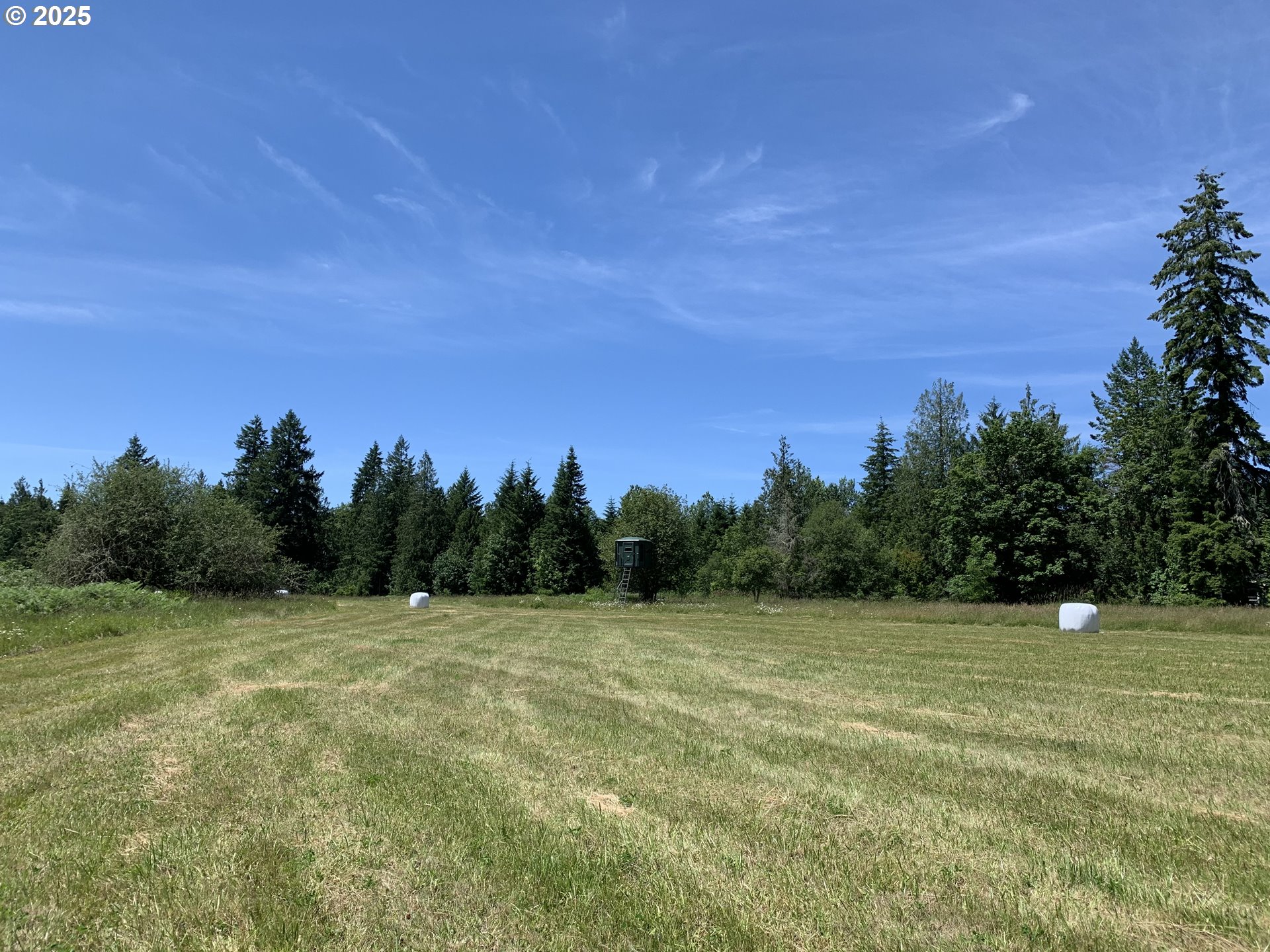 171 Mask Lane Toutle, WA 98649 - Photo 5 of 7