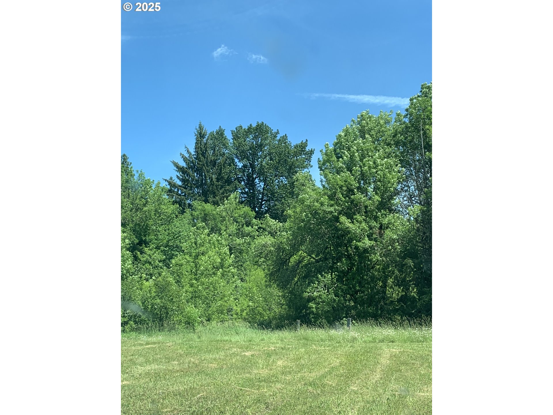 171 Mask Lane Toutle, WA 98649 - Photo 6 of 7