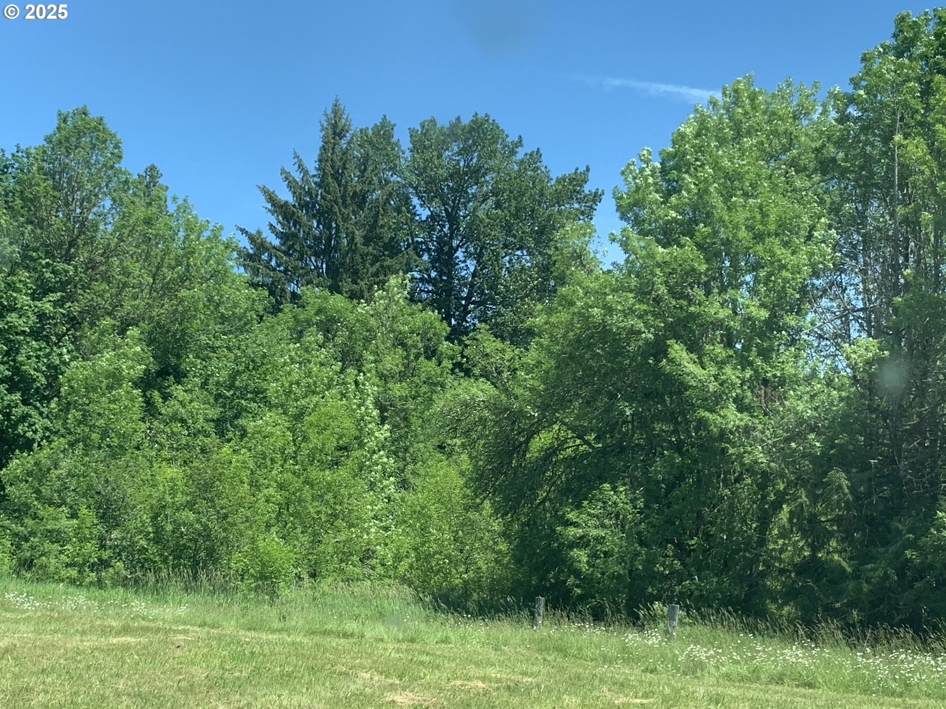 171 Mask Lane Toutle, WA 98649 - Photo 7 of 7