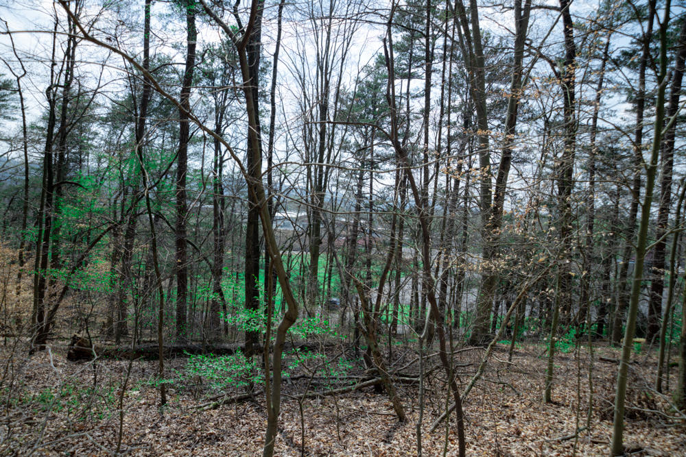 Sharp Road Powell, TN 37849 - Photo 8 of 12 DSC_3364