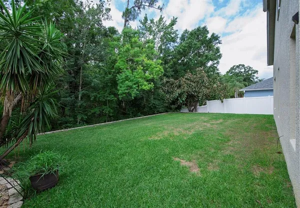 a view of a backyard with a garden