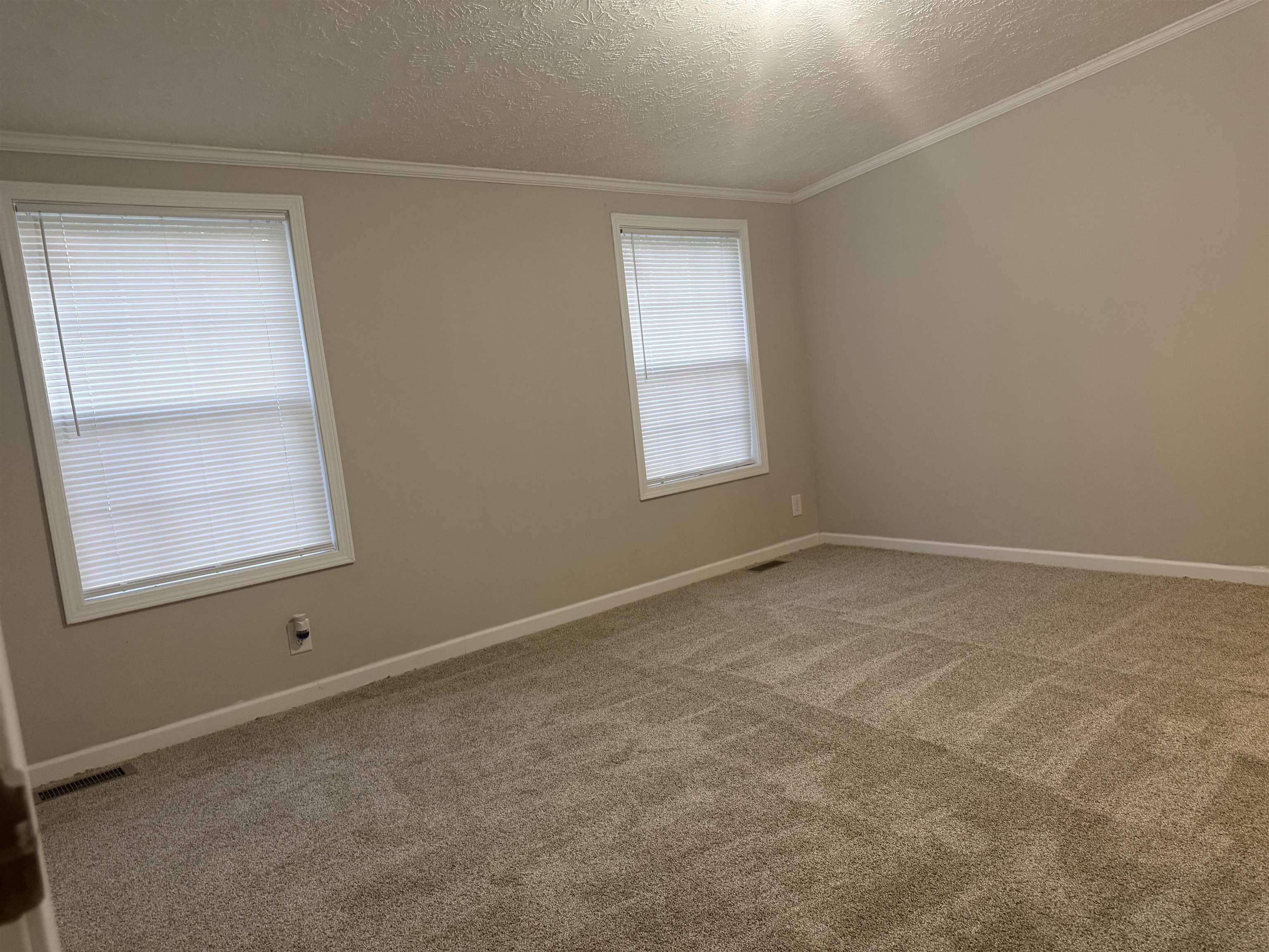 157 Rhodes Road Conway, SC 29526 - Photo 9 of 19