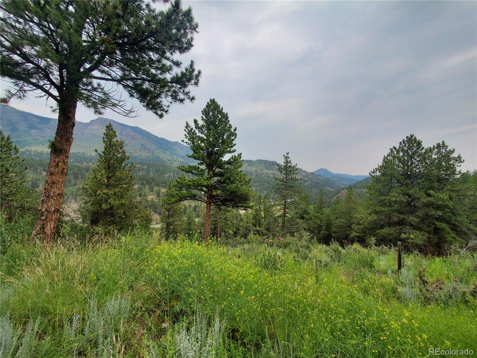 1919 Old Stagecoach Road Bailey, CO 80421 - Photo 38 of 40 Gallery Image 38