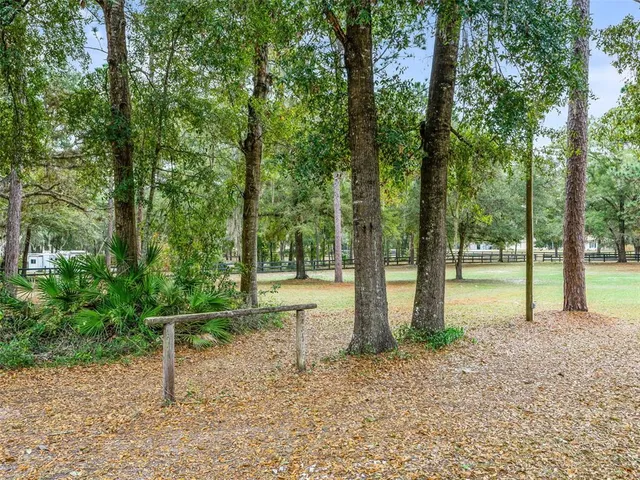 a view of a park with large trees