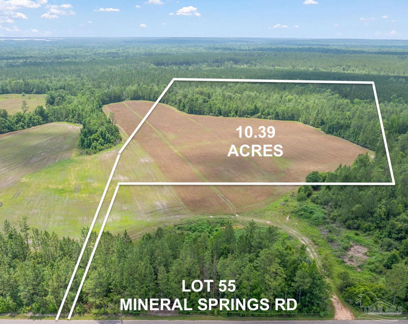 Lot 55 Mineral Springs Road Jay, FL 32565 - Photo 1 of 3 Gallery Image 1