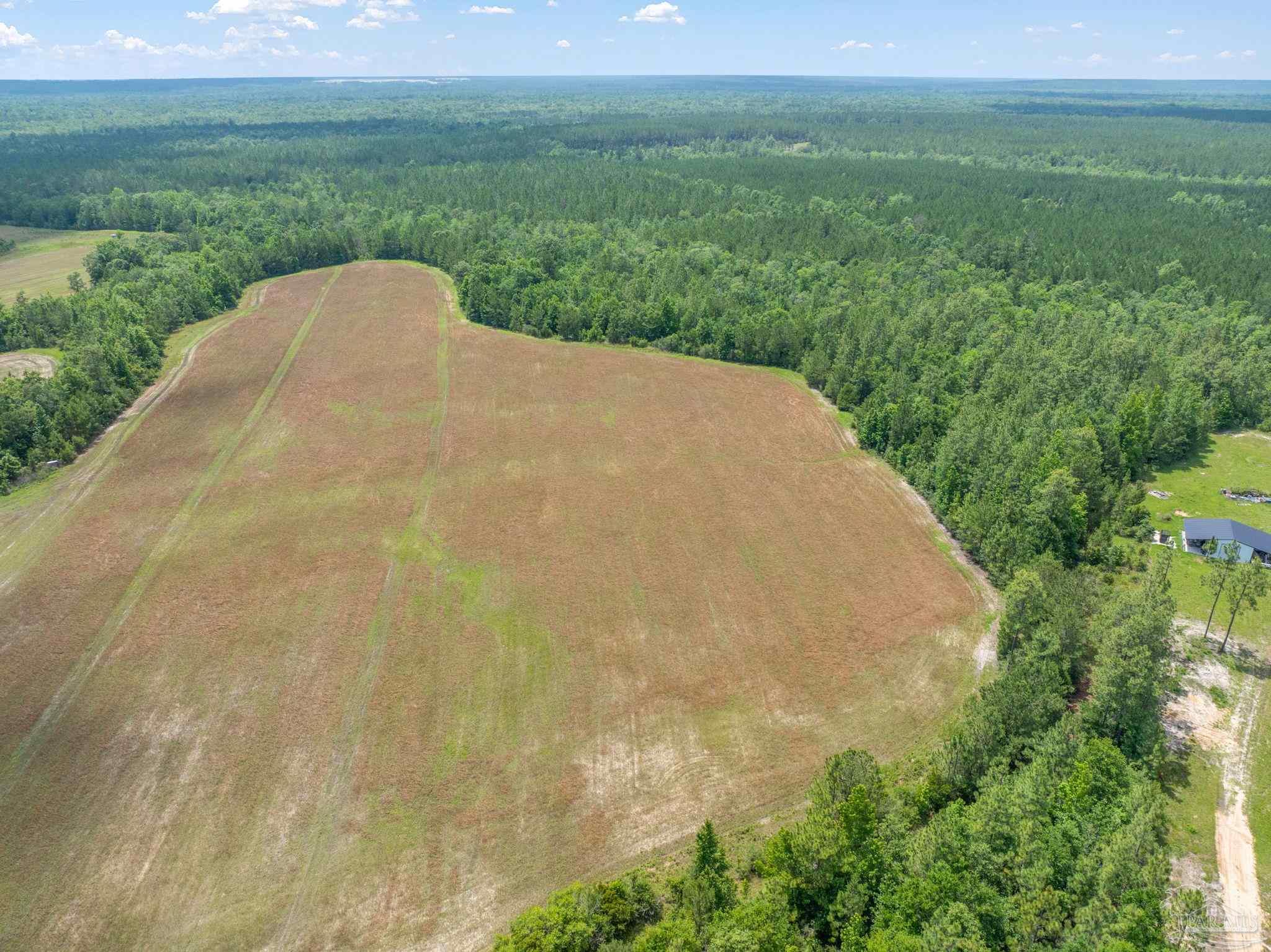 Lot 55 Mineral Springs Road Jay, FL 32565 - Photo 3 of 3 Gallery Image 3
