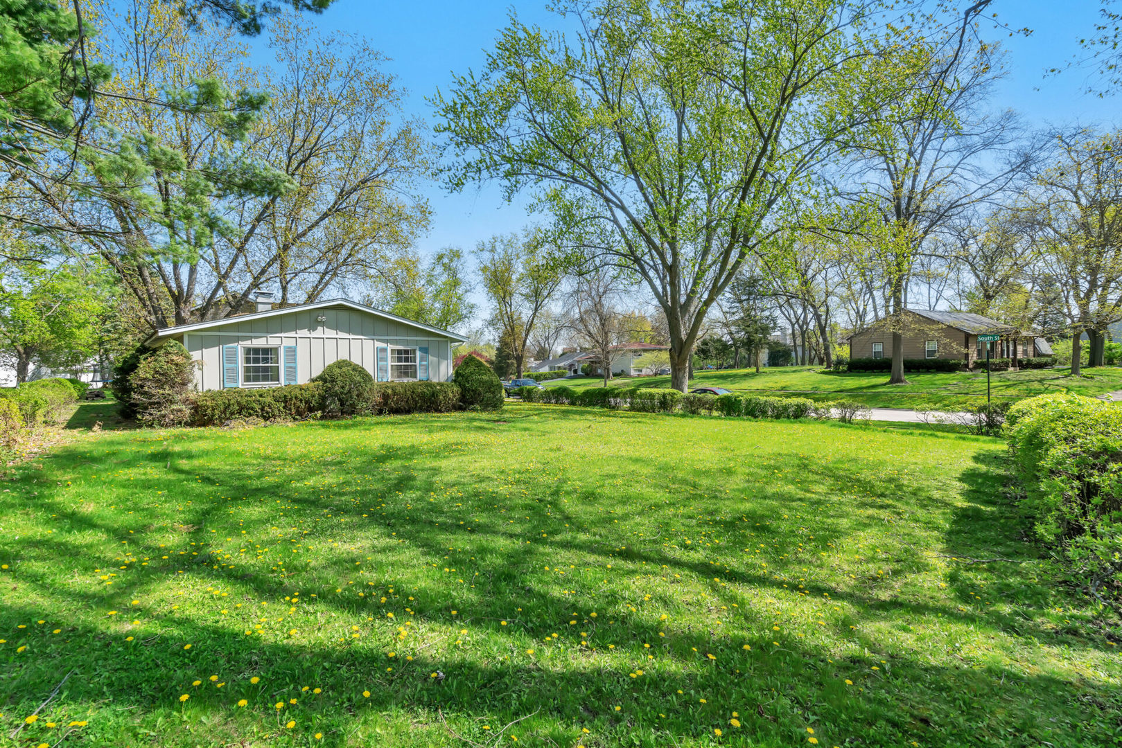 96 South Street Cary, IL 60013 - Photo 13 of 14 a view of a house with a big yard and large trees