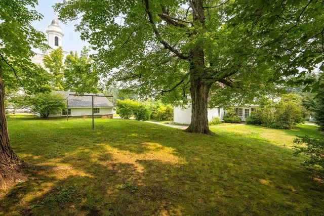 a view of a yard with a tree