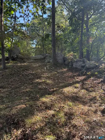 a view of a yard with trees