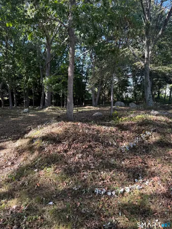 a view of a yard with a tree